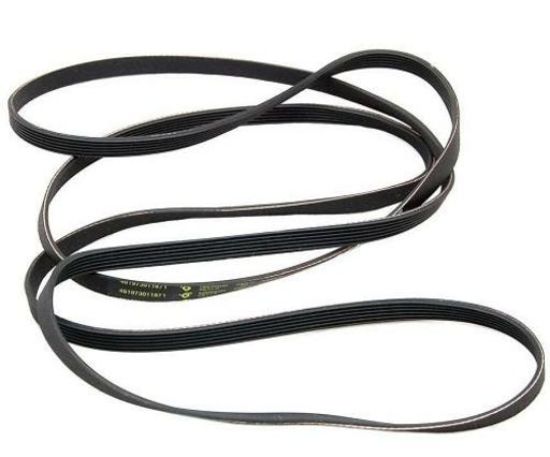 Picture of BELT. 
