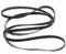 Picture of BELT. 
