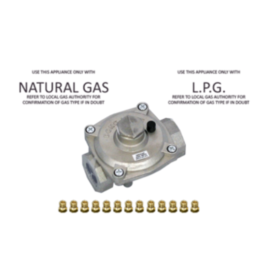 Picture of GAS CONVERSION KIT LP OR NG