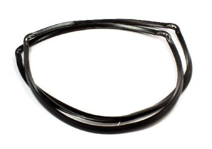Picture of Gasket For BLANCO OVEN Replaces 090118009904R