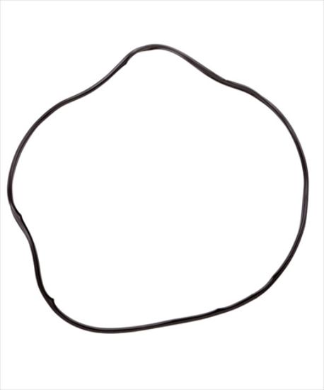 Picture of GASKET OVEN BI452 