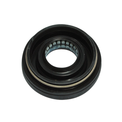 Picture of seal, main, LARGE LIP