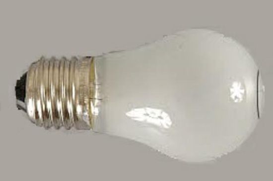 Picture of Globe for Maytag Refrigerator