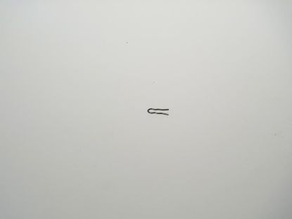 Picture of Spring  