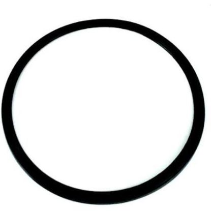 Picture of Well gasket 1