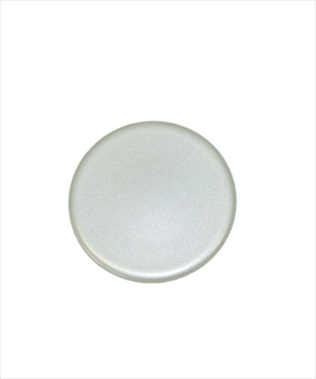 Picture of BURNER CAP SR SILVER GLOSS MK2