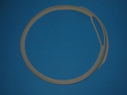 Picture of FILTER SEAL for Asko Dryer  