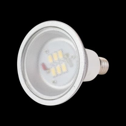 Picture of LAMP LED E14 220-240V   