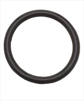 Picture of O-RING